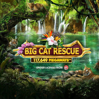 Big Cat Rescue Megaways
